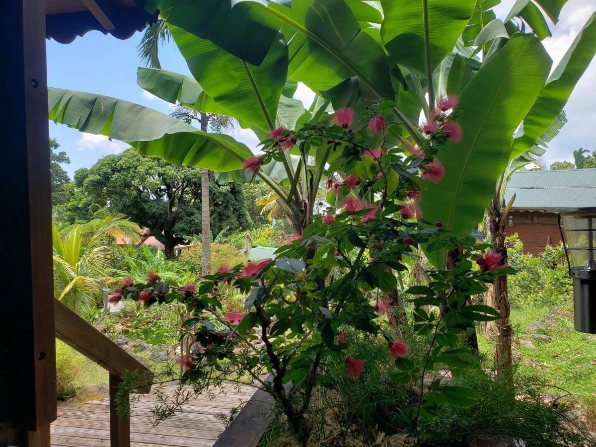 Les Bananes Vertes Ecolodges سانت-كلود المظهر الخارجي الصورة