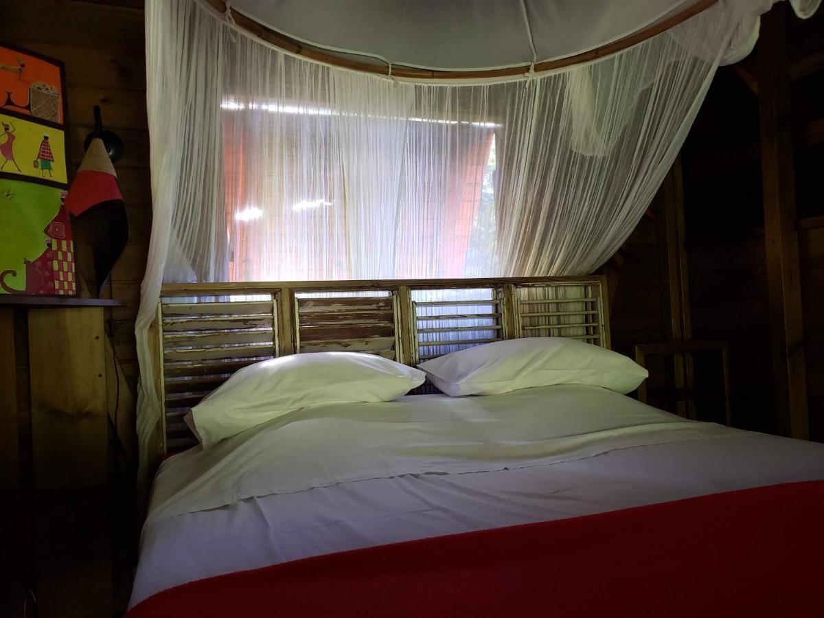 Les Bananes Vertes Ecolodges سانت-كلود المظهر الخارجي الصورة