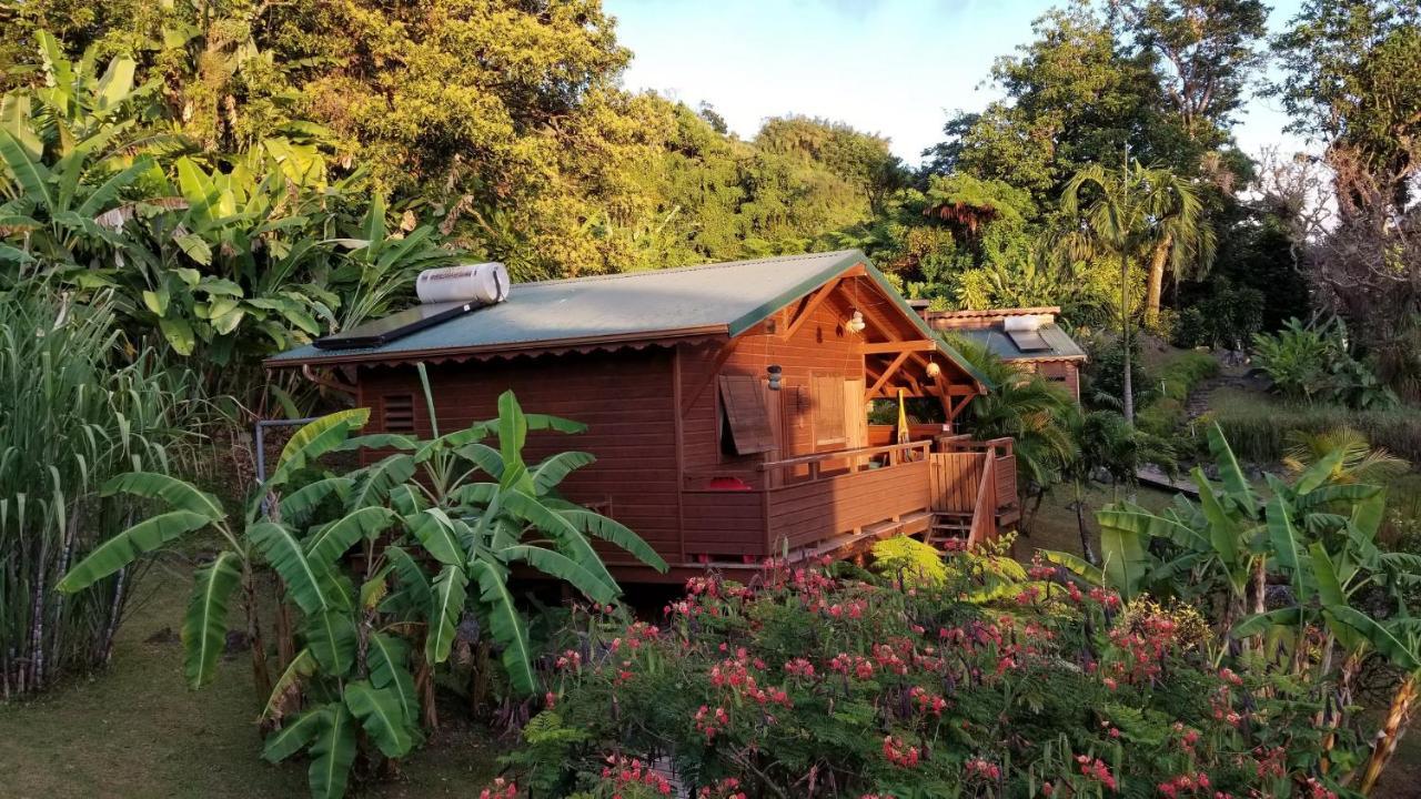 Les Bananes Vertes Ecolodges سانت-كلود المظهر الخارجي الصورة