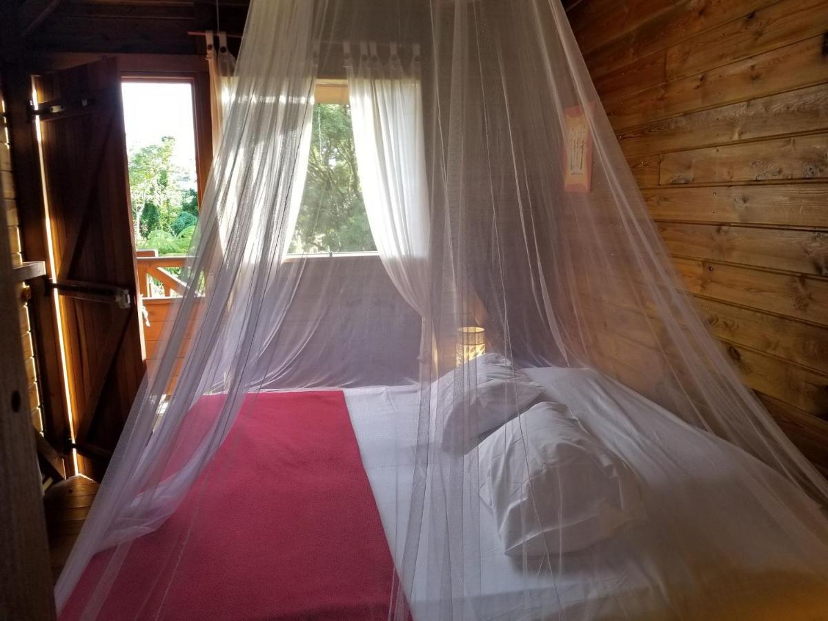 Les Bananes Vertes Ecolodges سانت-كلود المظهر الخارجي الصورة