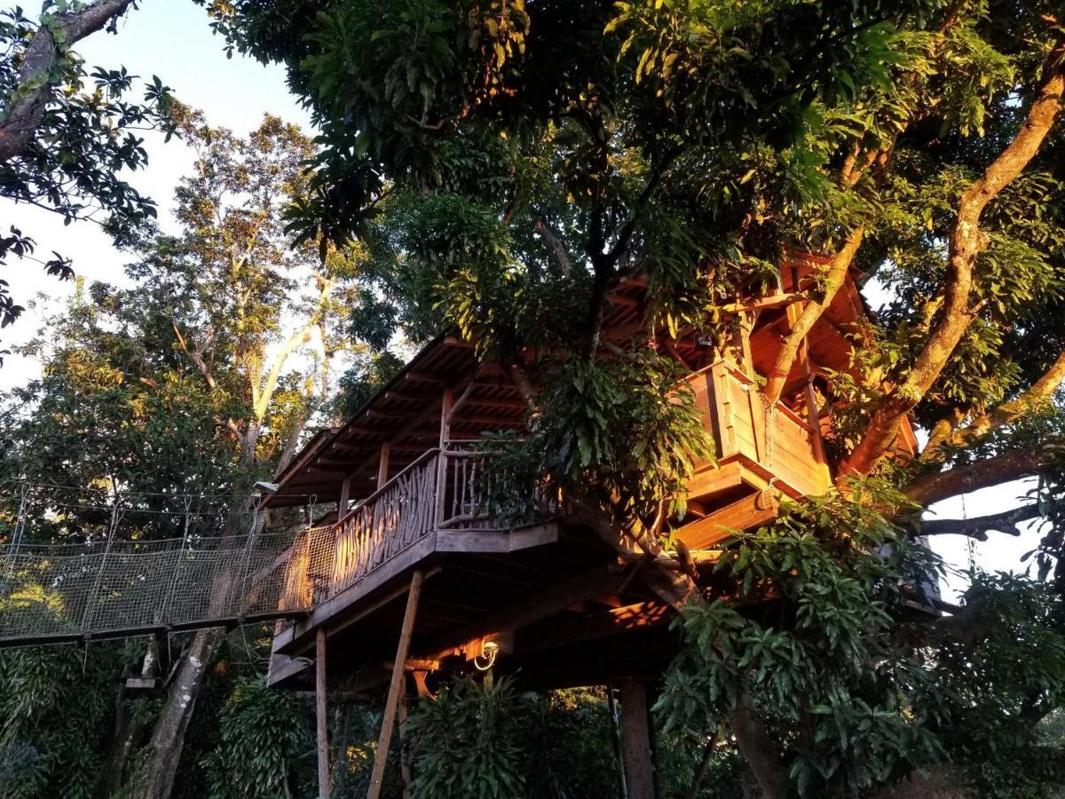 Les Bananes Vertes Ecolodges سانت-كلود المظهر الخارجي الصورة