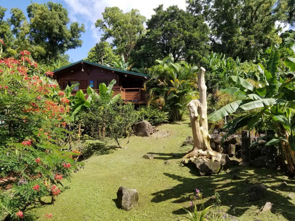 Les Bananes Vertes Ecolodges سانت-كلود المظهر الخارجي الصورة