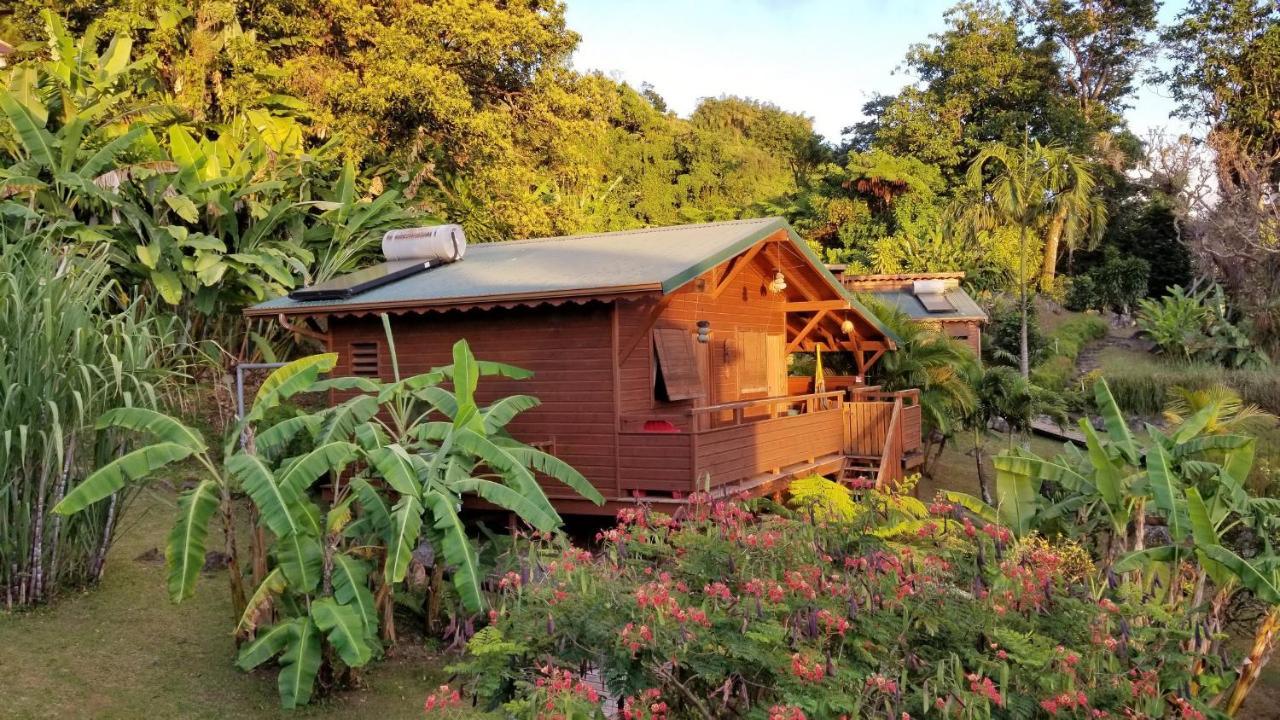 Les Bananes Vertes Ecolodges سانت-كلود المظهر الخارجي الصورة