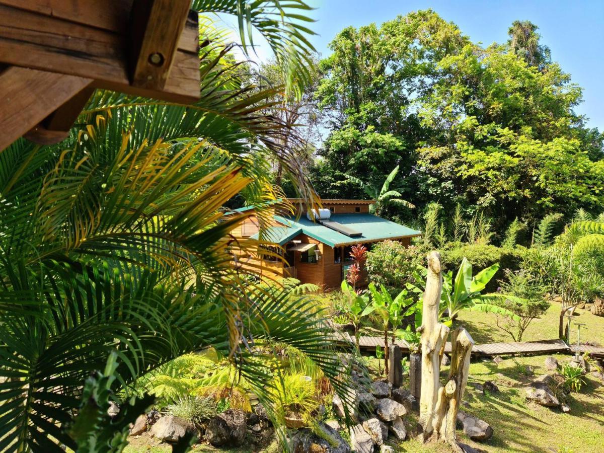 Les Bananes Vertes Ecolodges سانت-كلود المظهر الخارجي الصورة