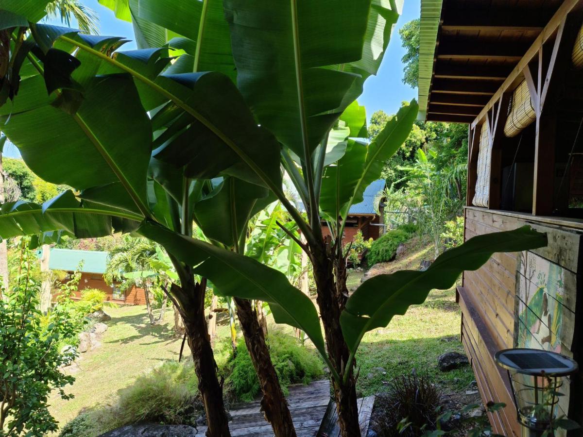 Les Bananes Vertes Ecolodges سانت-كلود المظهر الخارجي الصورة