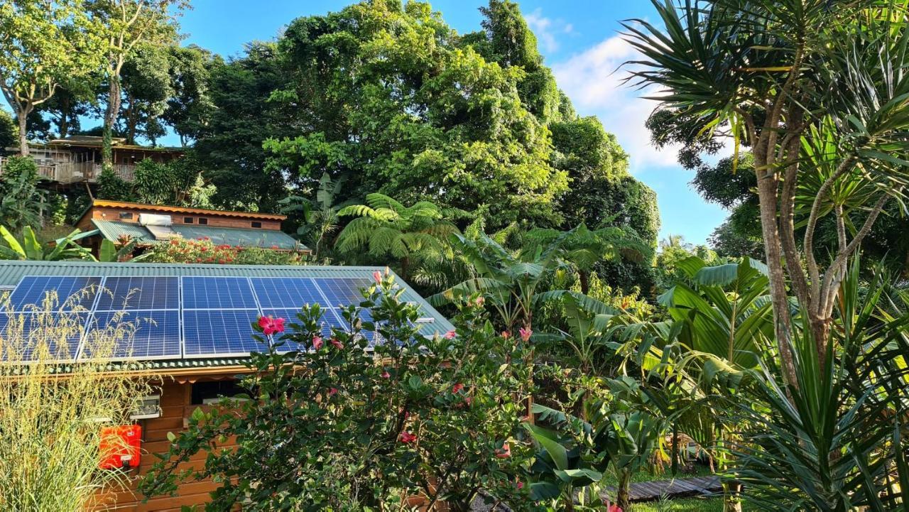 Les Bananes Vertes Ecolodges سانت-كلود المظهر الخارجي الصورة